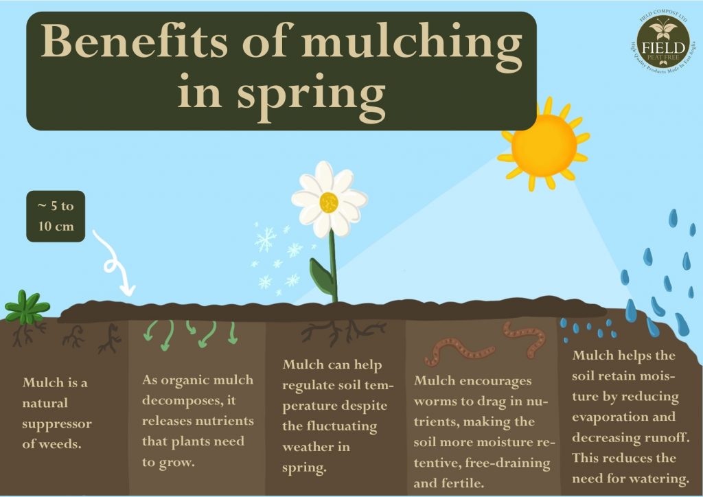 Benefits Of Mulching In Spring Field Compost